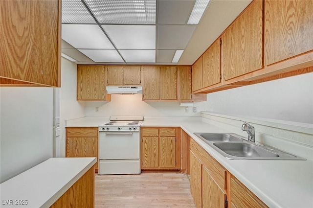 kitchen featuring white stove, light hardwood / wood-style floors, and sink