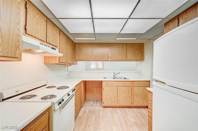 kitchen with light hardwood / wood-style floors, white appliances, and sink