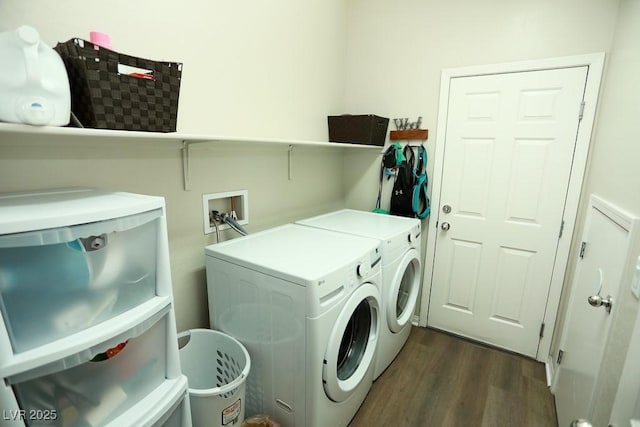 clothes washing area featuring dark hardwood / wood-style floors and washing machine and clothes dryer