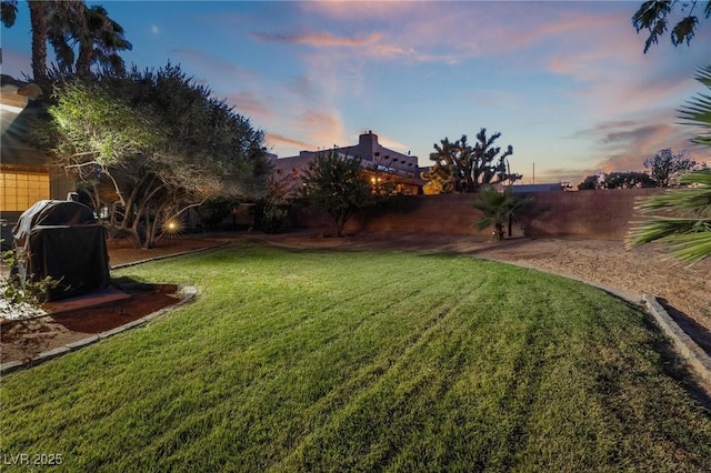 view of yard at dusk