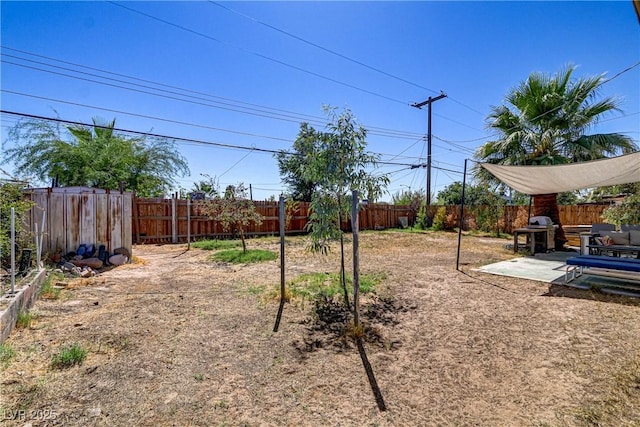 view of yard with a patio area