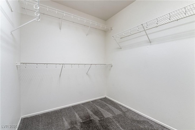 walk in closet featuring carpet