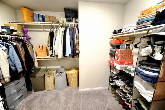 spacious closet with light carpet