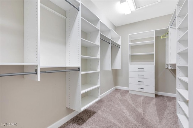 spacious closet featuring light colored carpet