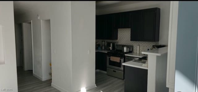 kitchen featuring tasteful backsplash, light hardwood / wood-style flooring, and stainless steel range oven