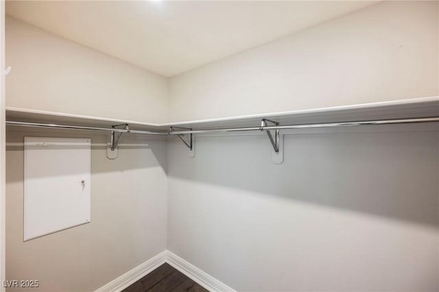 walk in closet with hardwood / wood-style flooring