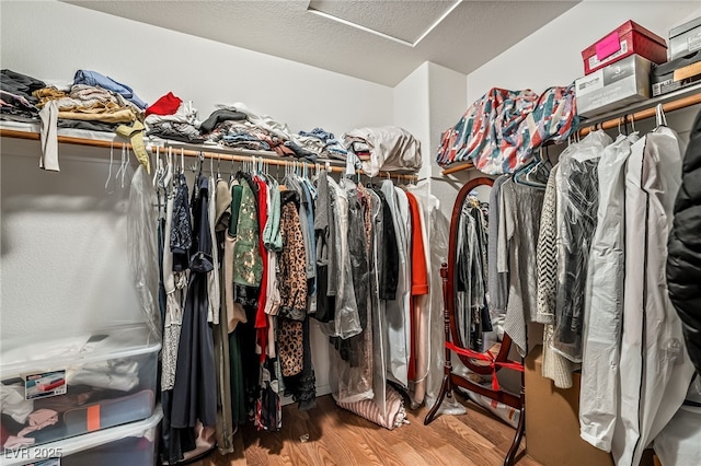 spacious closet with hardwood / wood-style floors