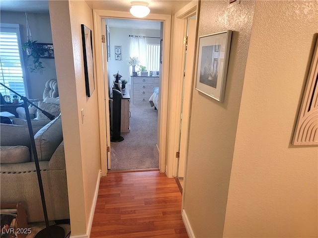 hall with a wealth of natural light and hardwood / wood-style flooring