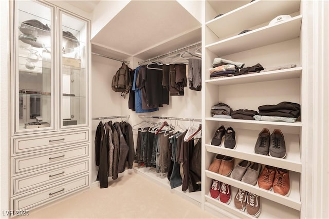 walk in closet with light carpet