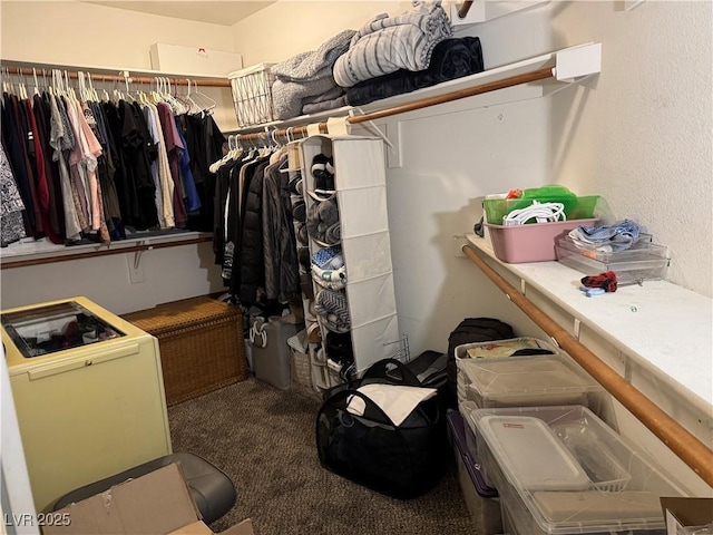 walk in closet featuring carpet flooring