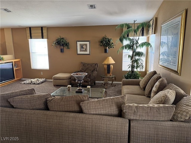 view of carpeted living room