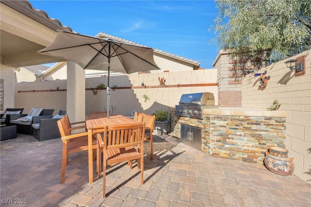 view of patio / terrace with area for grilling and exterior kitchen