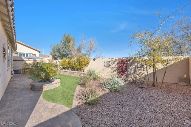 view of yard with a patio