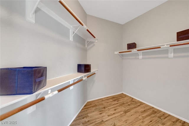 spacious closet featuring wood finished floors