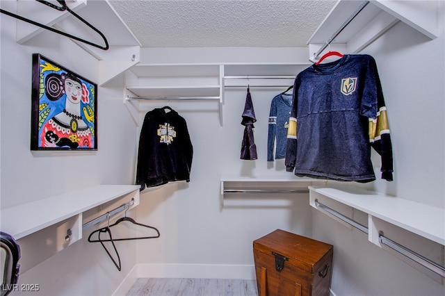 walk in closet featuring light wood-type flooring