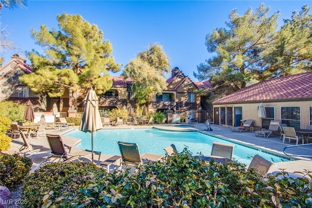 view of pool with a patio area