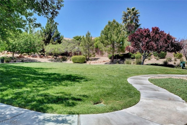 view of home's community featuring a lawn