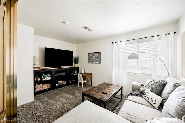 carpeted living room with a textured ceiling