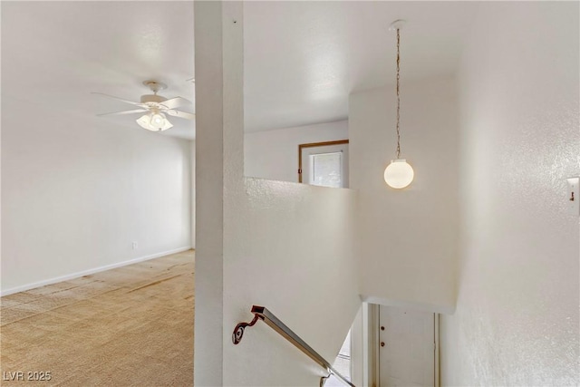 stairs with carpet floors and ceiling fan