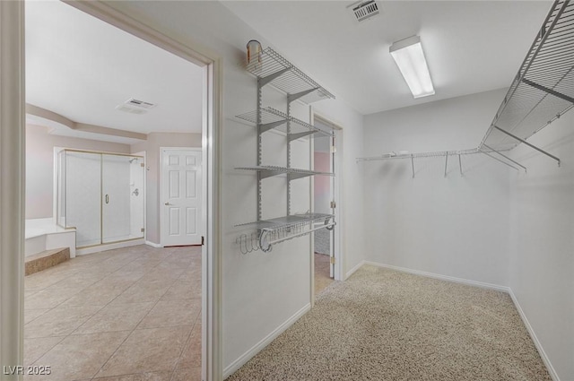 view of spacious closet