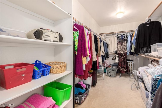 spacious closet with carpet