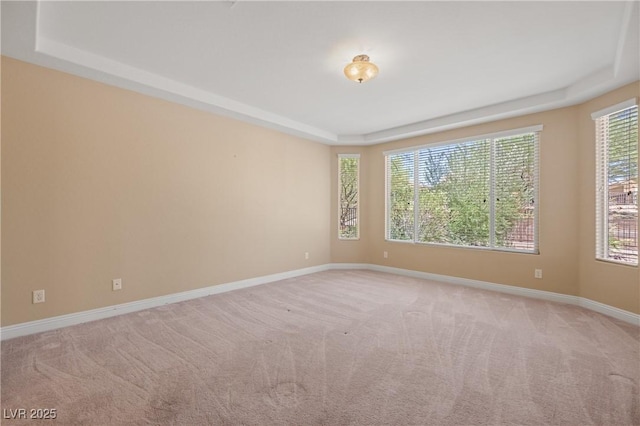 carpeted spare room featuring a raised ceiling