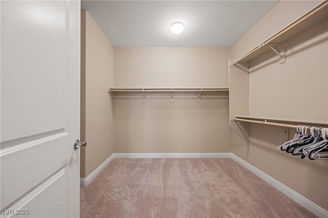 spacious closet with light colored carpet