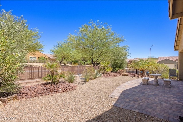 view of yard featuring a patio area