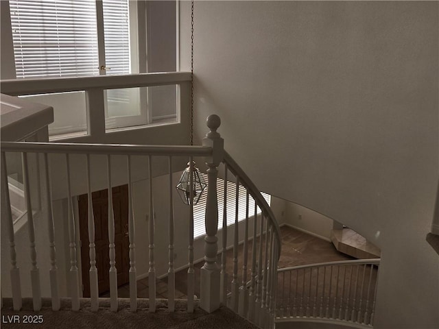 stairway featuring carpet floors