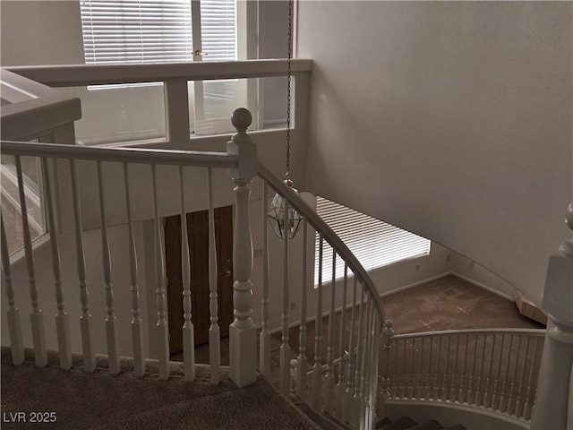 stairway featuring carpet flooring