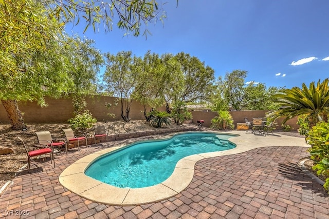 view of pool with a patio area