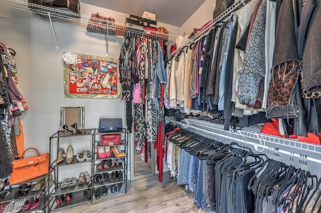 spacious closet with hardwood / wood-style floors