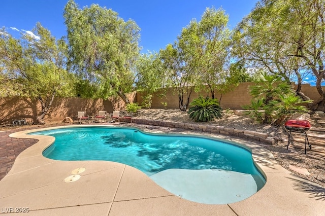 view of pool with a patio area