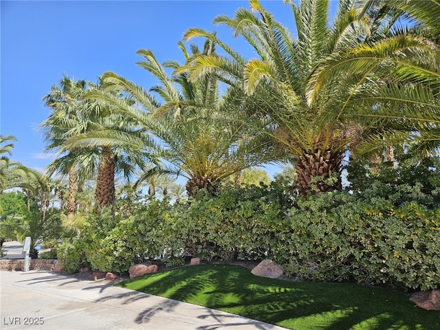 8175 Arville St Unit 157, Las Vegas, NV 89139 - photo 4