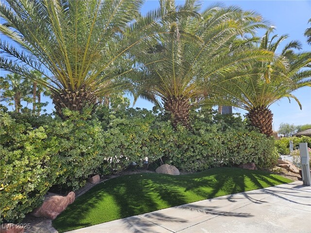 8175 Arville St Unit 157, Las Vegas, NV 89139 - photo 12