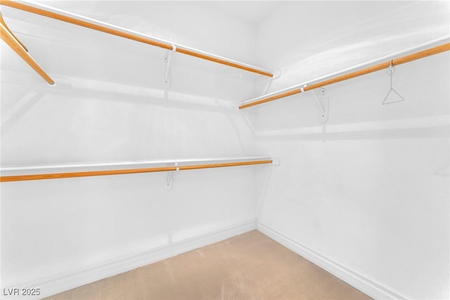 walk in closet with light colored carpet