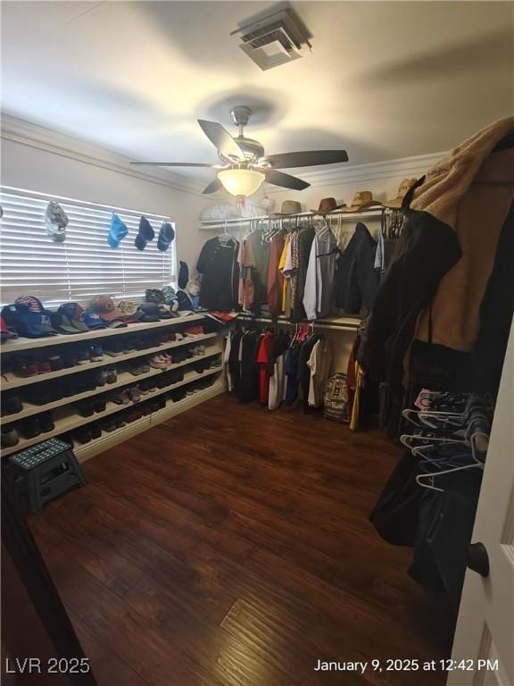 walk in closet featuring ceiling fan and dark hardwood / wood-style flooring