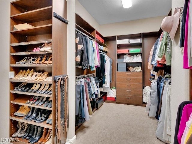 spacious closet with light carpet