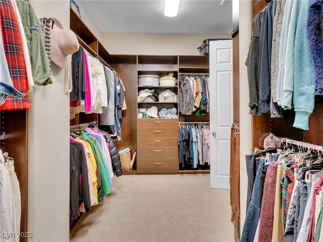 spacious closet with light carpet