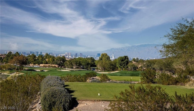 view of property's community featuring a lawn