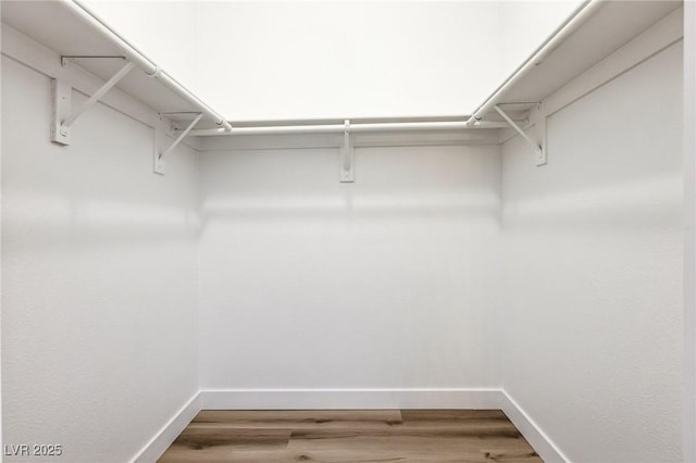 walk in closet with wood finished floors