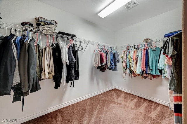 spacious closet with carpet