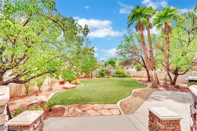 view of yard with a patio area