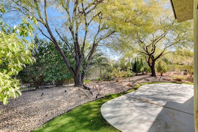 view of yard featuring a patio