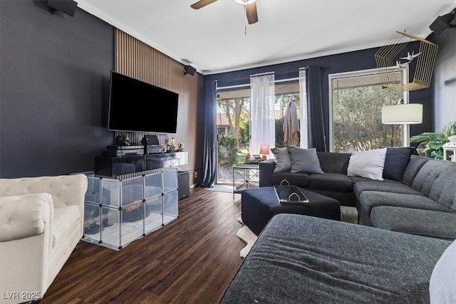 living room featuring ceiling fan and dark hardwood / wood-style floors