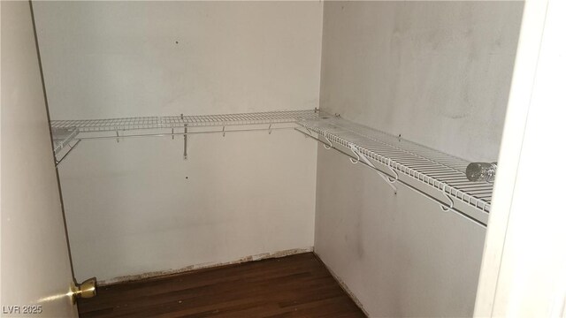 spacious closet with dark wood-type flooring