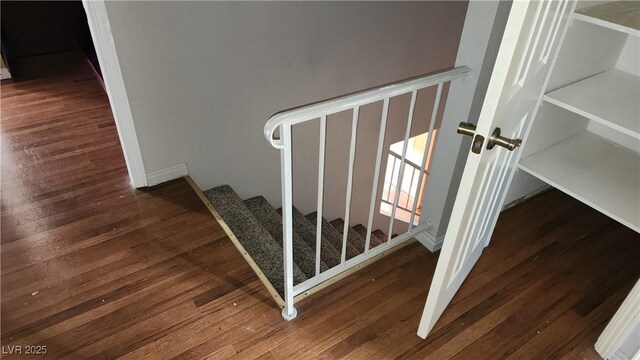 stairway with hardwood / wood-style floors