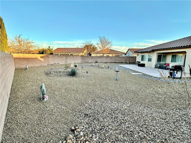 view of yard with a patio area