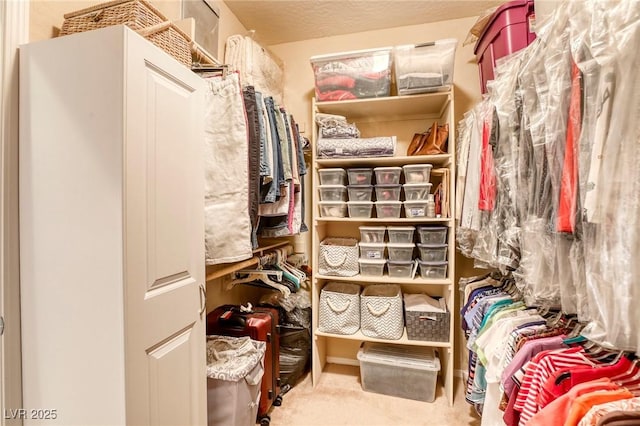 walk in closet with light colored carpet