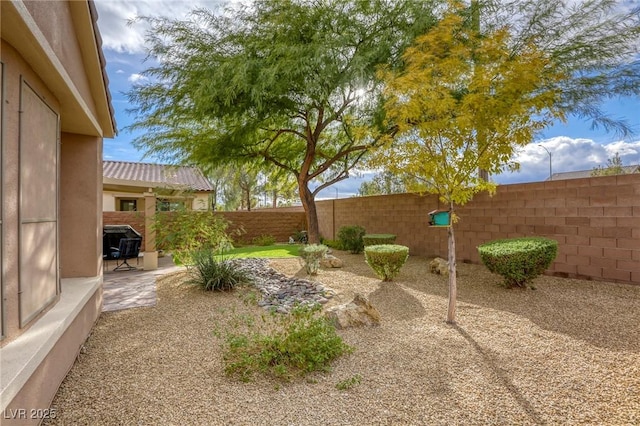 view of yard featuring a patio